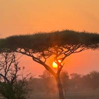 Photo de voyageur Safari classique Big Five en Tanzanie **Approche de voyage durable #1