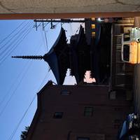 Photo de voyageur Japon classique 14 jours - One Life Adventures #1