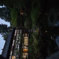 Photo de voyageur Japon classique 14 jours - One Life Adventures #1