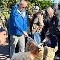 Circuito de 7 días de Irlanda a la isla en grupo reducido: foto del viajero #1