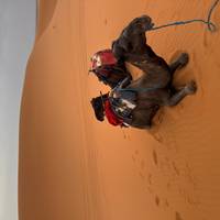 4-daagse privé Sahara tour vanuit Marrakech: UNESCO sites, Dades Vallei & Merzouga Woestijn: foto van de reiziger #1