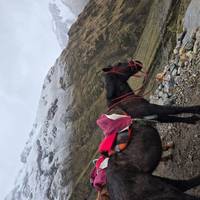 Peru Express - 10 Days (Lima - Cusco - Machu Picchu & Puno) With Domestic Flights traveler photo #2
