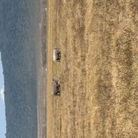 Klassieke Big Five-safari in Tanzania – duurzame reisbenadering: foto van de reiziger #2