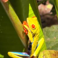 Essential Costa Rica - Package with Guanacaste traveler photo #1