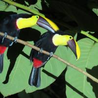 Essential Costa Rica - Package with Guanacaste traveler photo #2