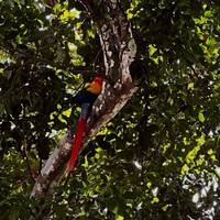 Essential Costa Rica - Package with Guanacaste traveler photo #3