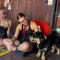 Thai Intro 18 Day traveler photo #1