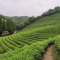 2026 Discover Korea in 7days: with DMZ tour option (2027 Now Available) traveler photo #1