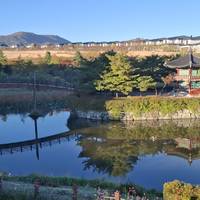 Photo de voyageur 2026 Découvrez la Corée en 7 jours : avec option de visite de la DMZ (2027 : désormais disponible) #2