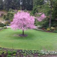 Iconic Rockies and Western Canada traveler photo #3