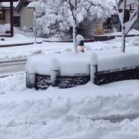 Iconic Rockies and Western Canada traveler photo #2