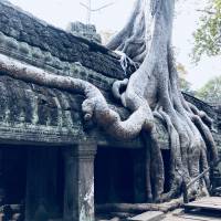 Photo de voyageur Circuit de 5 jours au Cambodge #1