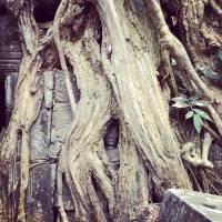 Photo de voyageur Circuit de 5 jours au Cambodge #3