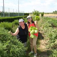 A Taste of Italy - Walking in Puglia traveler photo #2