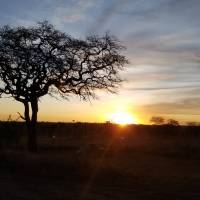 Serengeti-safari - privé-reis: foto van de reiziger #1