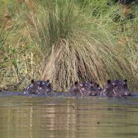 Namibia & Botswana Uncovered traveler photo #2