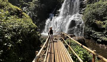 Person standing on a wooden bridge near a waterfall.