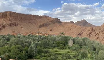Lush green landscape with mountains in the background.