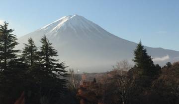 Iconic view of Mount Fuji with trees in the foreground.