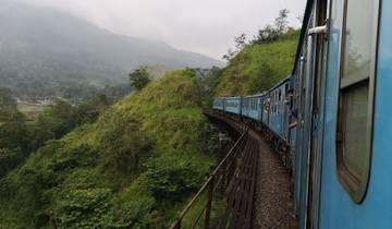 Train passing through a scenic green hillside.