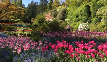 Beautiful garden with a variety of colorful flowers.