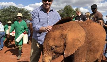 A person posing with a baby elephant and others in the background.