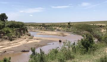 River landscape with a hippopotamus in the distance.