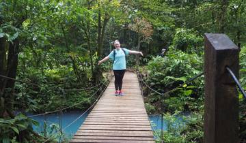 A person standing on a wooden bridge over a river in a rainforest.
