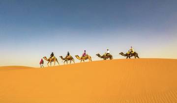 Line of camels walking across a desert dune.