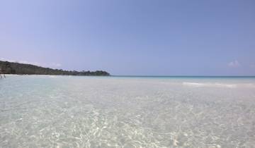 Clear blue ocean with a sandy beach and distant trees.