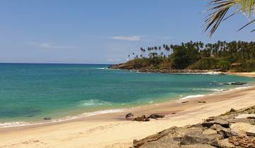 A pristine beach with turquoise waters and palm trees.