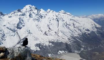 Snow-capped mountain peaks with a bird perched in the foreground.