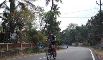 Cyclist on a road with trees and buildings in the background.