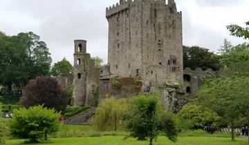 Blarney Castle surrounded by lush greenery.