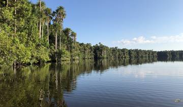 Calm water body fringed with a lush green forest