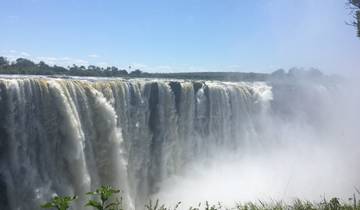 Victoria Falls seen from the top, with mist rising and water flowing.