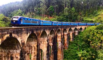Blue train crossing a large arched stone bridge in a jungle setting.