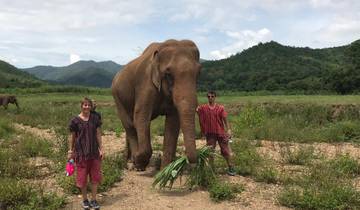 Two people in traditional attire standing beside an elephant in a lush landscape.