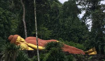 Reclining Buddha statue surrounded by lush greenery.