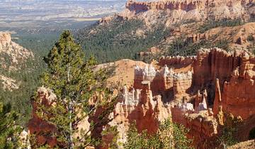 Scenic view of Bryce Canyon with rock formations and green forests.