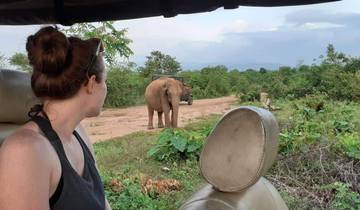 Person on safari observing an elephant.