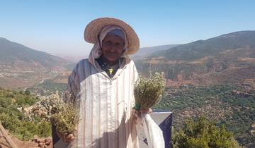 Elderly man in traditional attire holding herbs with valley behind.