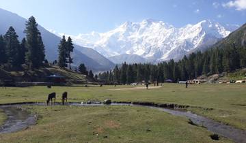 A scenic view of Fairy Meadows with snow-capped mountains and a stream.