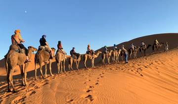 Camel caravan crossing sand dunes at sunset.