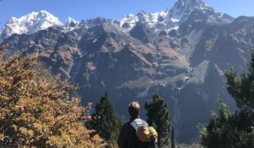 Person looking at snow-capped mountains.