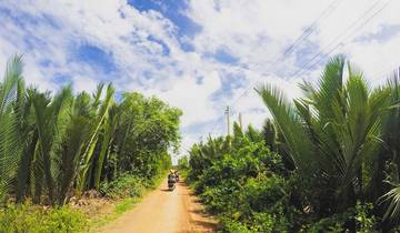 Two people riding motorbikes down a road lined with palm trees.