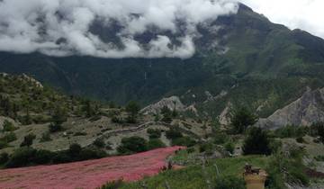 Scenic landscape with pink flowers and mountains under a cloudy sky.