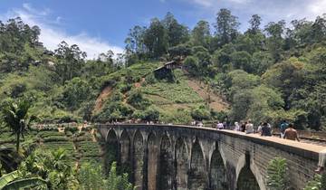 A scenic view of a bridge with people walking on it, surrounded by lush greenery.