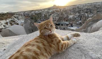 A cat lying on rocks with a view over Cappadocia.