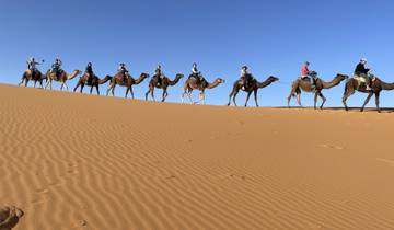 Line of people riding camels across desert dunes.